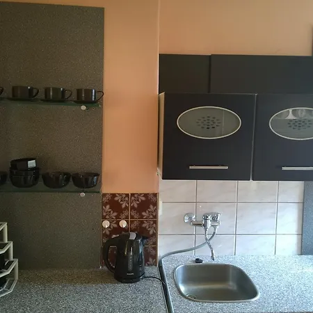 Apartment Dvory Karlovy Vary